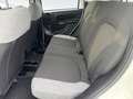 Fiat New Panda Panda 1.0 firefly hybrid City Life s&s 70cv Bianco - thumbnail 8