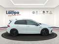 Volkswagen Golf R Performance 2.0 TSI DSG NAV,MFK,DCC,Matrix-LED Weiß - thumbnail 6
