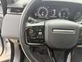 Land Rover Range Rover Velar 2.0D I4 MHEV Dynamic SE 4WD Aut. 204 Gris - thumbnail 10