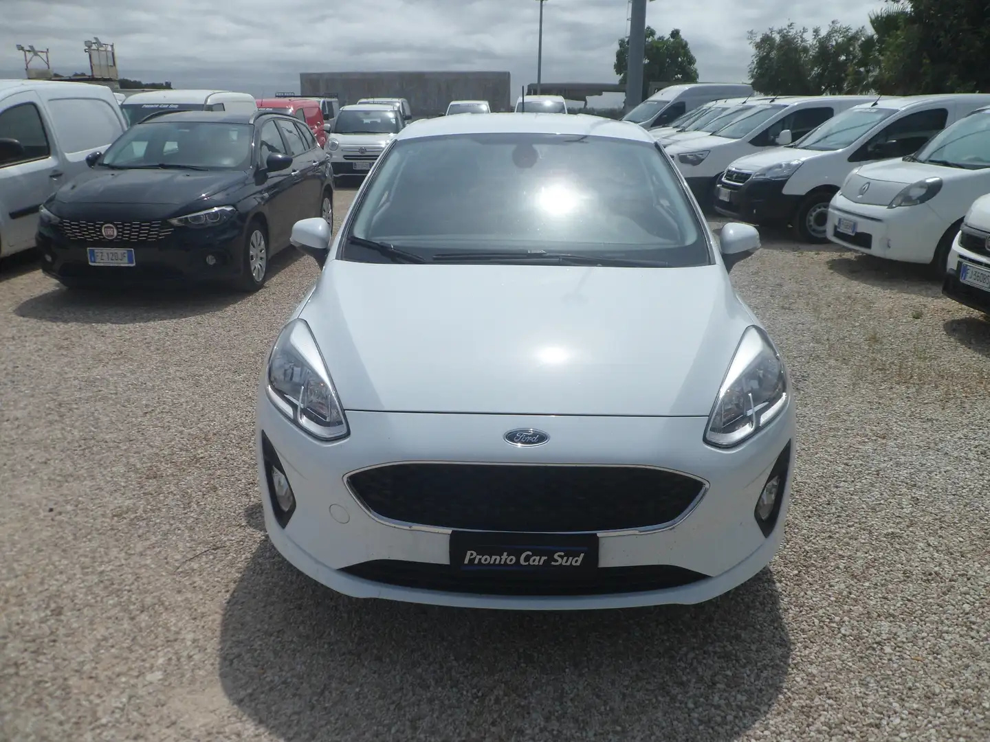 Ford Fiesta van 2 posti Bianco - 2