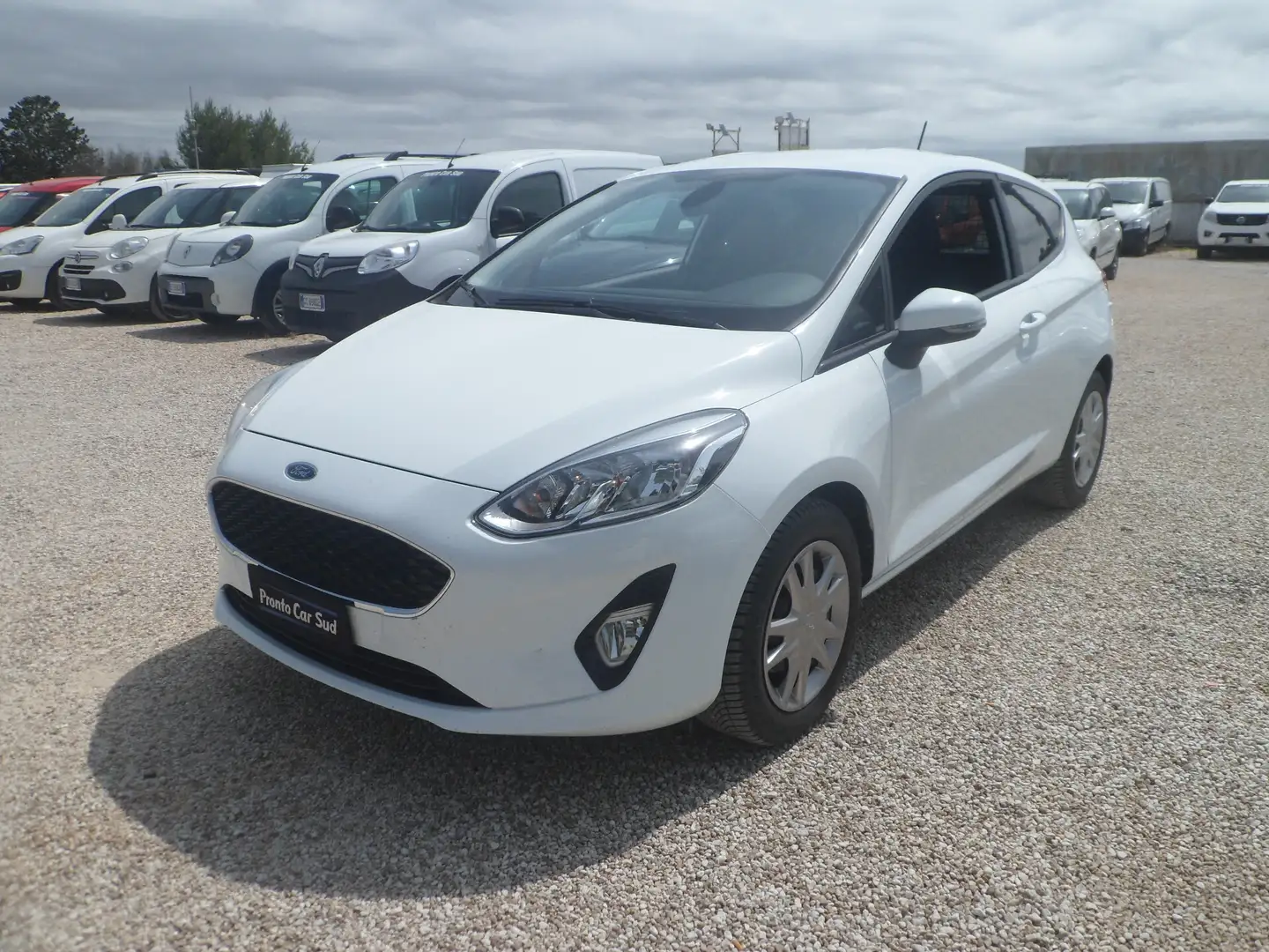 Ford Fiesta van 2 posti Bianco - 1