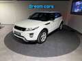 Land Rover Range Rover Evoque Evoque 2.2 TD4 DYNAMIK / PANO / LEDER / NAVI / Blanc - thumbnail 6