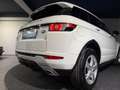Land Rover Range Rover Evoque Evoque 2.2 TD4 DYNAMIK / PANO / LEDER / NAVI / Blanc - thumbnail 8