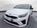 Kia ProCeed / pro_cee'd ProCeed 1.6 T-GDI GT *LED*PDC*SHZ*DAB*Klima*Spor Weiß - thumbnail 13