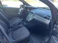 Fiat Punto Punto 1.3 mjt 16v Lounge 75cv-DISTRIBUZIONE NUOVA Negro - thumbnail 13