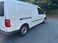 Volkswagen Caddy Maxi Kasten Trendline BMT Weiß - thumbnail 5