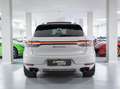Porsche Macan 2.9 Turbo 441CV-TETTO-CERCHI 21-MATRIX-PASM Grigio - thumbnail 5