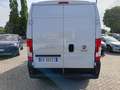Fiat Ducato 35 2.2 Mjt 140CV Furgone Blanco - thumbnail 5
