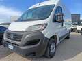 Fiat Ducato 35 2.2 Mjt 140CV Furgone Blanco - thumbnail 12