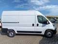 Fiat Ducato 35 2.2 Mjt 140CV Furgone Blanco - thumbnail 3