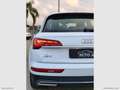 Audi Q5 35 TDI S tronic Business Advanced Weiß - thumbnail 7