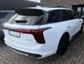Hongqi E-HS9 E-HS9 120 kWh President Long Range Weiß - thumbnail 3