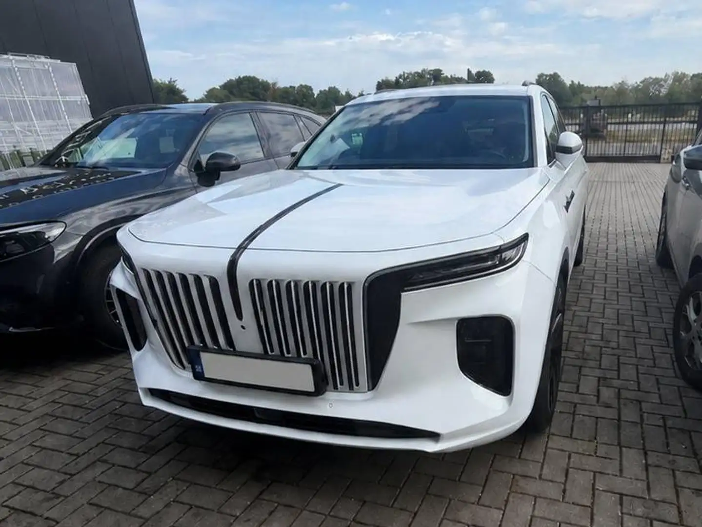 Hongqi E-HS9 E-HS9 120 kWh President Long Range Weiß - 1
