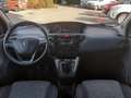 Lancia Ypsilon 1.2 69 CV 5P GPL PER NEOPAT-1°PROP-GARANZIA - thumbnail 8