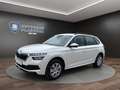 Skoda Kamiq 1.0 TSI LED+PDC Einparkhilfe Sitzheizung Білий - thumbnail 1