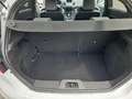 Ford Fiesta 1.6 EcoBoost mit Leder-Sport-Paket ST Weiß - thumbnail 13