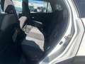 Suzuki SX4 S-Cross SX4 S-CROSS 1.5 VOLLHYBRID AUTOMATIK COMFORT Blanc - thumbnail 11