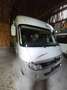 Mercedes-Benz Sonstige Wohnmobil Rabido 906 Weiß - thumbnail 5