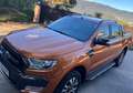 Ford Ranger Ranger 3.2TDCI DCb. Wildtrak 4x4 Aut. 200 Wildtrak Marrón - thumbnail 6
