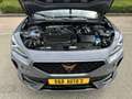 CUPRA Formentor 1.5 TSI 150pk DSG Business Edition Plus l ACC l CA Grijs - thumbnail 22