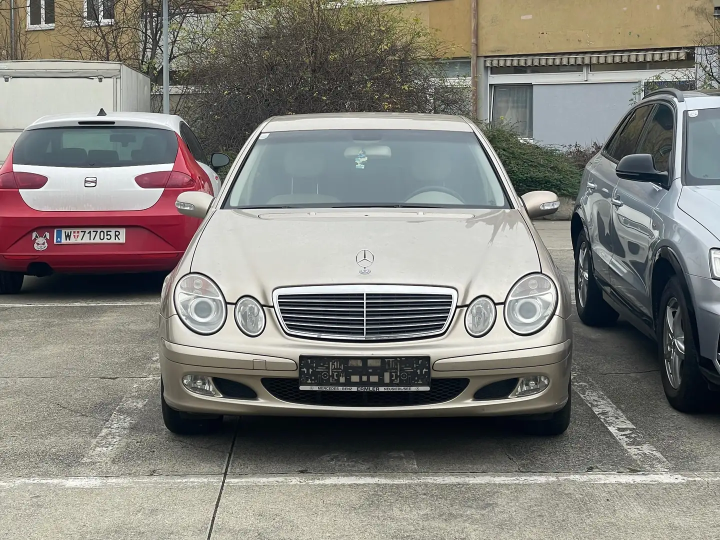 Mercedes-Benz E 220 CDI Gold - 1