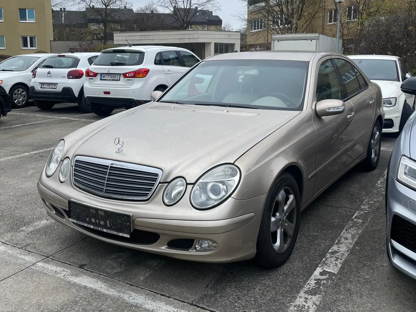 Mercedes-Benz E 220 CDI Gold - 2