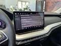 Skoda Octavia Selection TSI mHEV DSG Grau - thumbnail 13