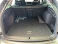 Skoda Octavia Selection TSI mHEV DSG Grau - thumbnail 19