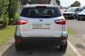 Ford EcoSport Trend 1.0EcoBoost 125PS Argent - thumbnail 6