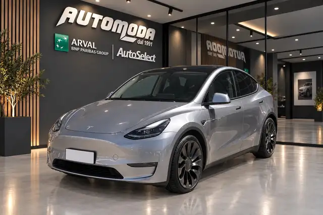 Tesla Model Y Performance Dual Motor 4WD