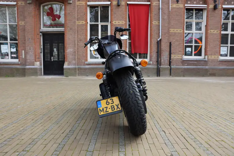 Harley-Davidson Iron 883 - foto 6