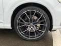 Audi SQ7 4.0 TDI q. Tiptr., Rear Seat Entertainment, bijela - thumbnail 15