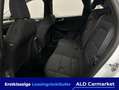 Ford Kuga 1.5 EcoBoost COOL&CONNECT Geschlossen, 5-türig, 6- Weiß - thumbnail 8