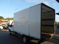 Ford Transit FT 350 Chasis Cabina 2.0 EcoBlue Heavy Dut Blanco - thumbnail 5