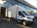 Ford Transit FT 350 Chasis Cabina 2.0 EcoBlue Heavy Dut Blanco - thumbnail 3