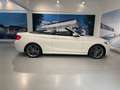 BMW 220 i Cabrio  M Sport/Leder/LHZ/RFK/Standhzg etc Wit - thumbnail 10
