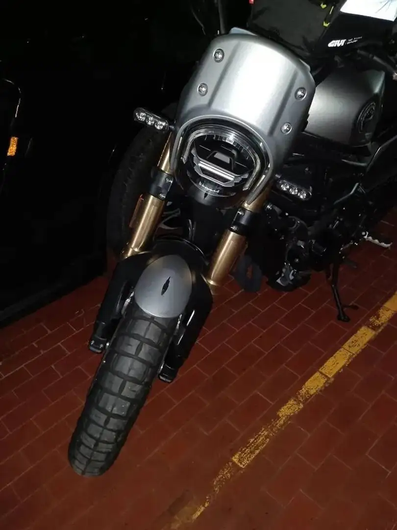 Benelli Leoncino Gris - 2