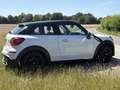 MINI Cooper SD Paceman All4 Aut. - thumbnail 4