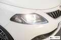 Lancia Ypsilon 3ª serie 1.0 FireFly 5 porte S&S Hybrid 'Platino P Bianco - thumbnail 8