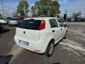 Fiat Punto Punto 1.2 benzina 69cv 5 porte 2016 Bianco - thumbnail 3