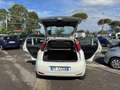 Fiat Punto Punto 1.2 benzina 69cv 5 porte 2016 Blanc - thumbnail 18