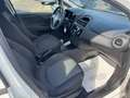 Fiat Punto Punto 1.2 benzina 69cv 5 porte 2016 Blanc - thumbnail 26