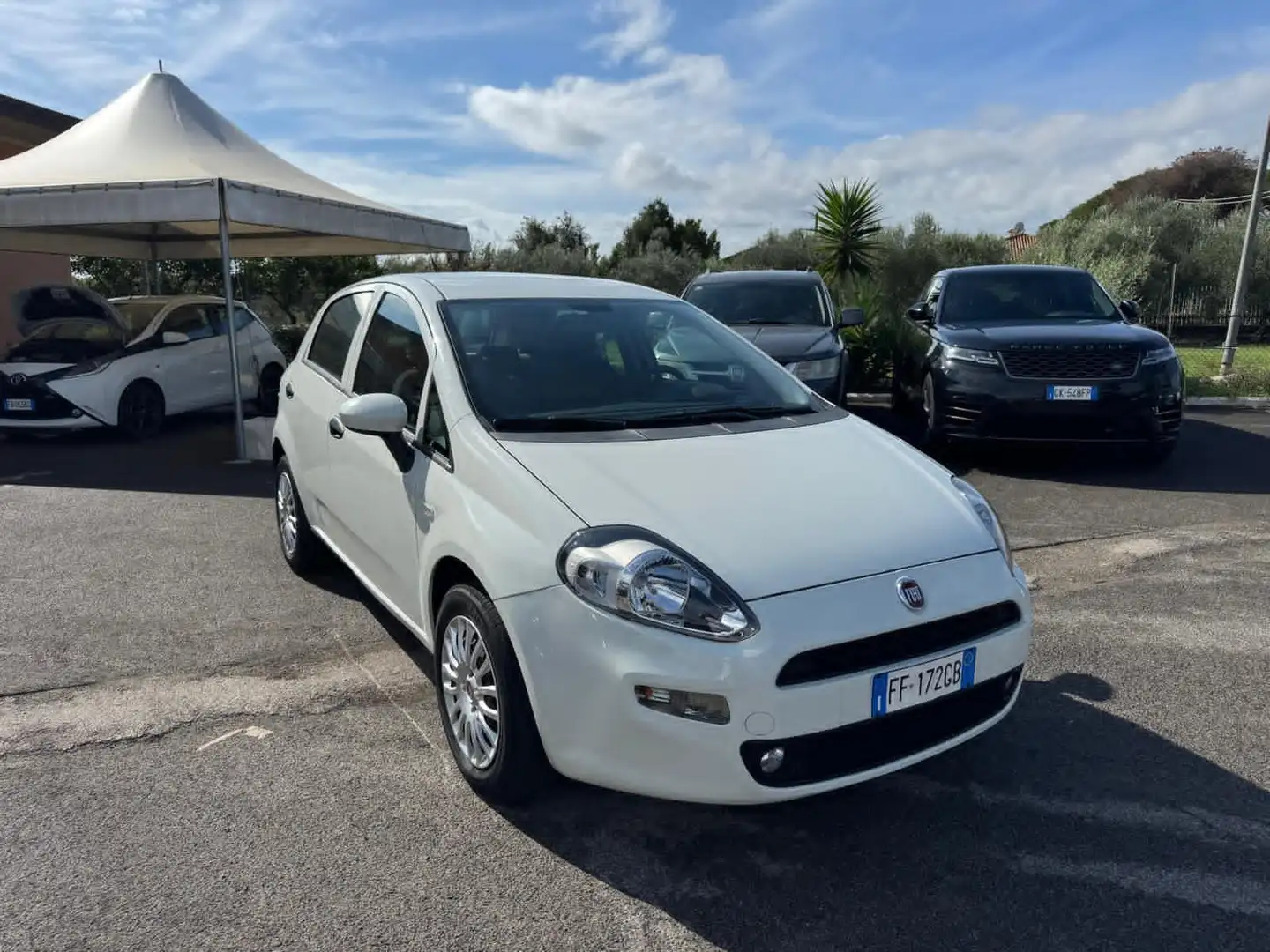Fiat Punto Punto 1.2 benzina 69cv 5 porte 2016 Bianco - 2