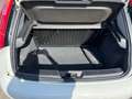Fiat Punto Punto 1.2 benzina 69cv 5 porte 2016 Blanc - thumbnail 16