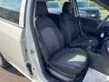 Fiat Punto Punto 1.2 benzina 69cv 5 porte 2016 Blanc - thumbnail 27
