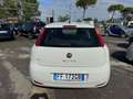 Fiat Punto Punto 1.2 benzina 69cv 5 porte 2016 Blanc - thumbnail 24