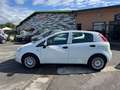 Fiat Punto Punto 1.2 benzina 69cv 5 porte 2016 Blanc - thumbnail 21