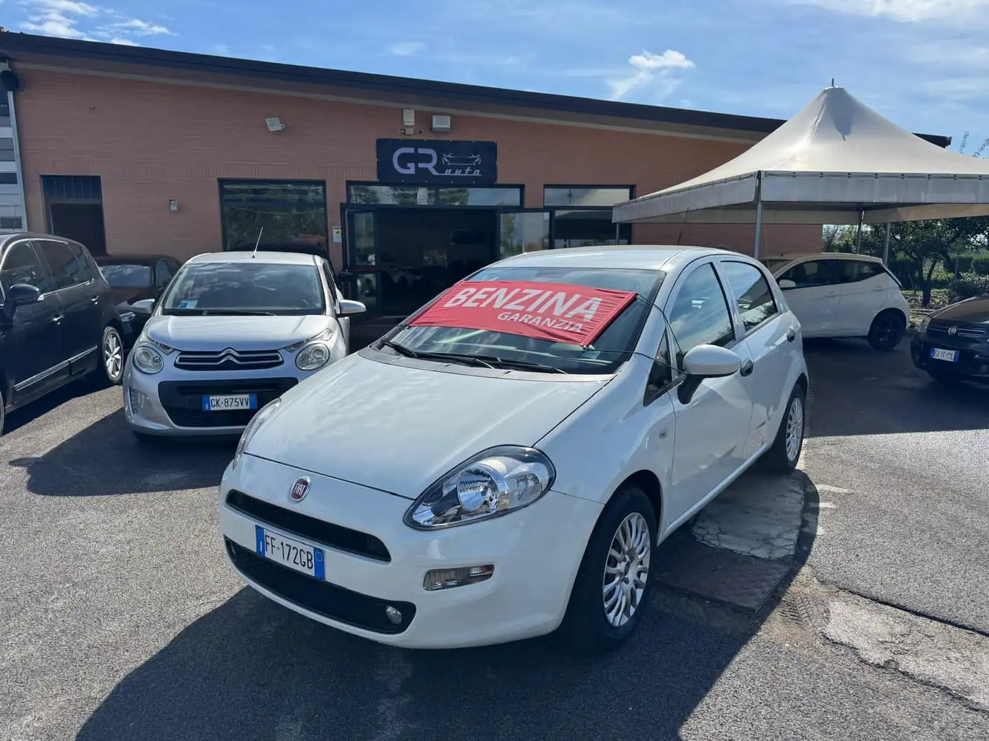 Fiat Punto Punto 1.2 benzina 69cv 5 porte 2016 Bianco - 1