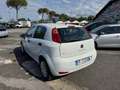 Fiat Punto Punto 1.2 benzina 69cv 5 porte 2016 Bianco - thumbnail 4