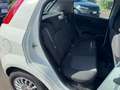 Fiat Punto Punto 1.2 benzina 69cv 5 porte 2016 Blanc - thumbnail 28